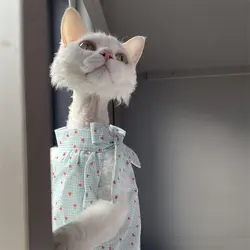 Ropa de verano para gatos Sphynx: vestido de algodón azul claro