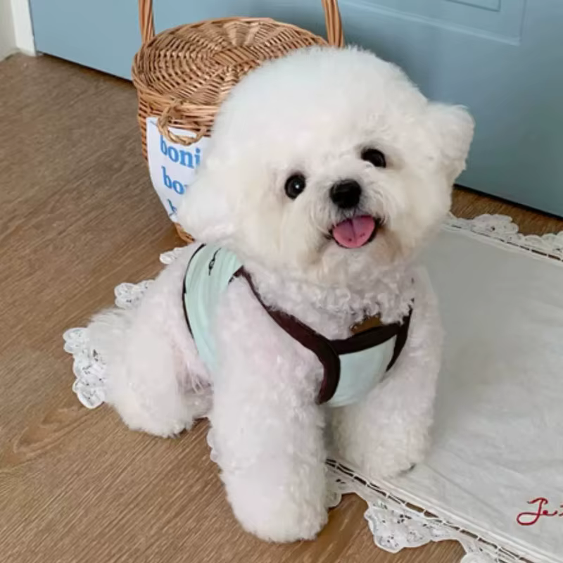 Camisola de verano para cachorros con tirantes