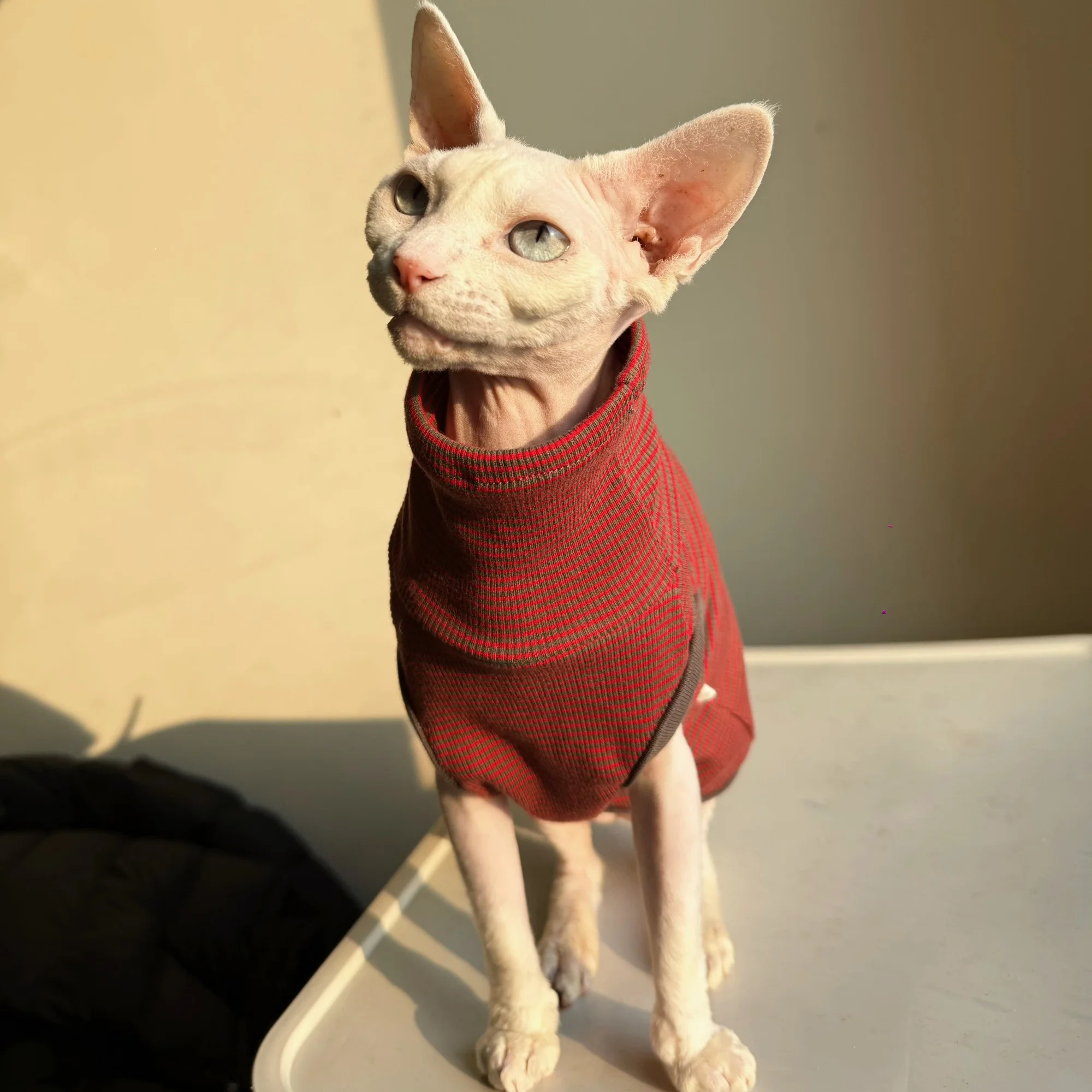 Tabla de tallas de la camiseta para mascotas