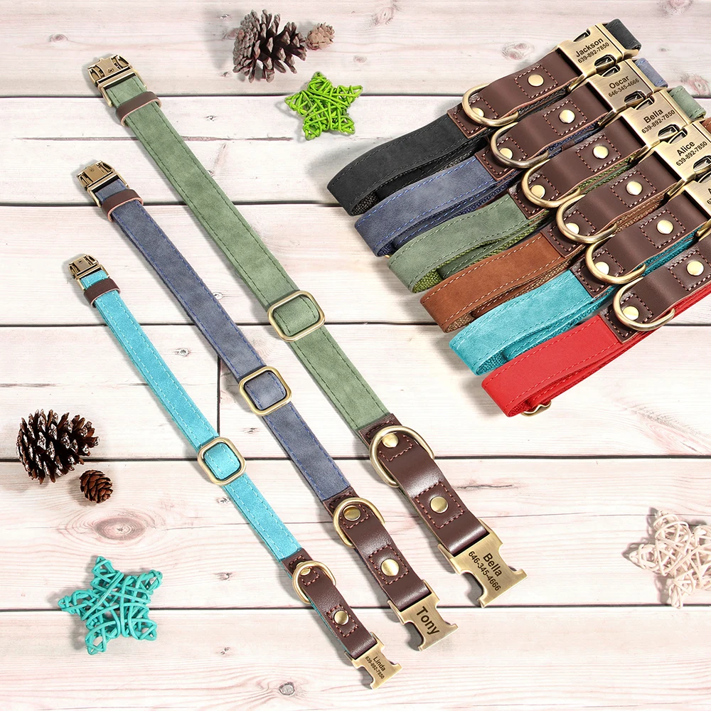 Collar con hebilla ajustable para perros de todas tallas