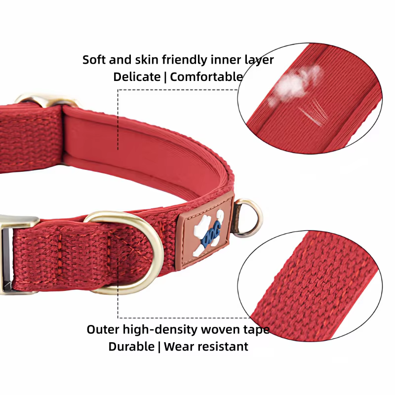 Collar personalizado con correa ajustable para perro, cachorro y gato - imagen 3