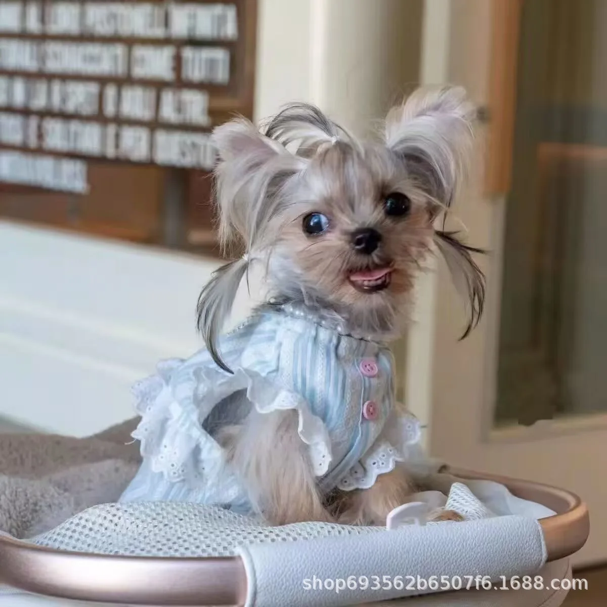 Vestido para perro pequeño talla M