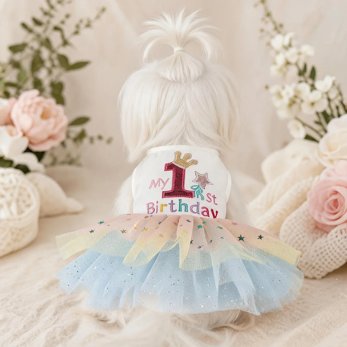 Vestido malla arcoíris con estrellas para gatos y perros – Ropa de fiesta y cumpleaños - imagen 3