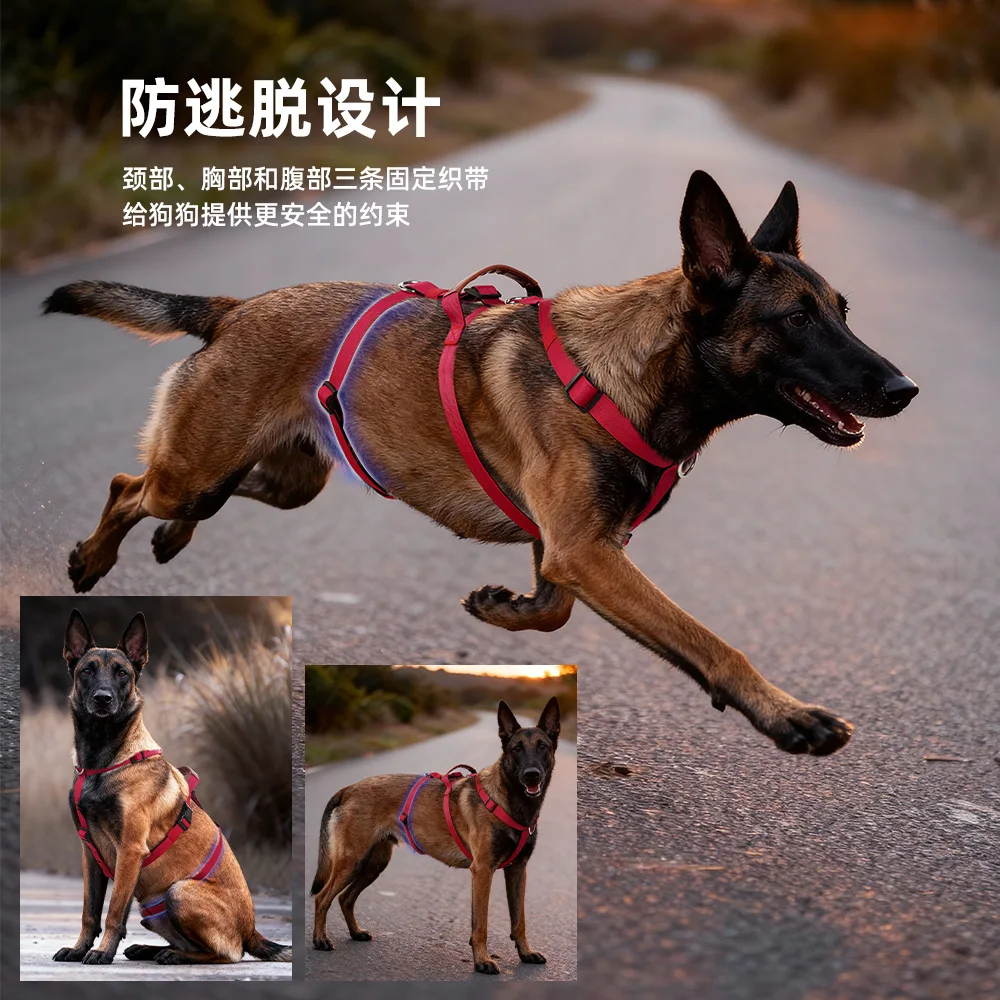 Correa de tracción con arnés de pecho antirrotura para perros - imagen 4