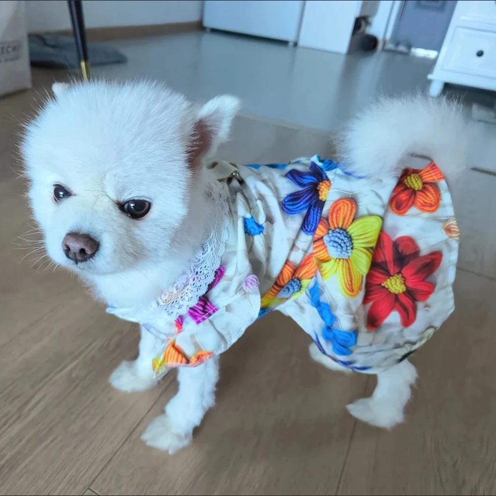 Detalle del tejido suave del vestido para perro