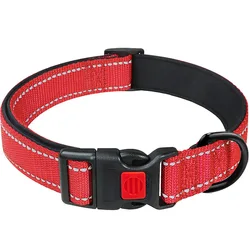 Collar ajustable de nailon con hebilla de seguridad para perros y gatos