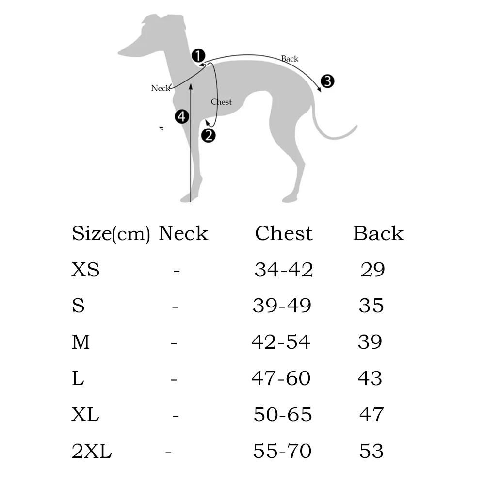 Primer plano del vestido ABQP