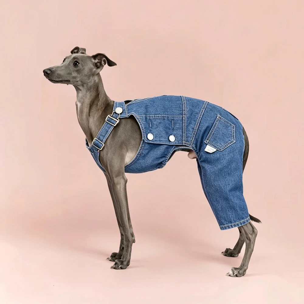 Pantalones vaqueros ajustables para perros – Moda primavera Galgo Italiano Whippet - imagen 4