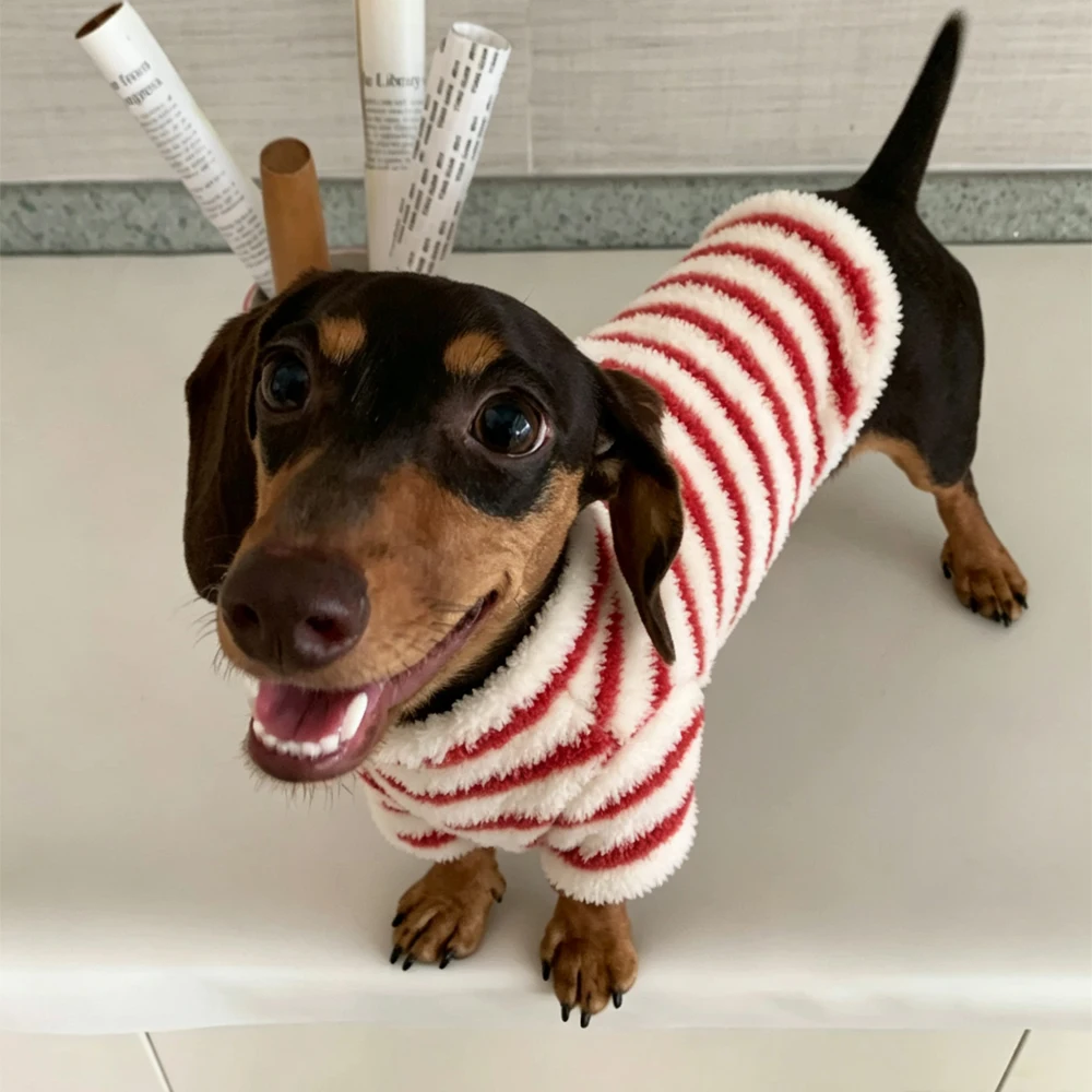 Ropa de abrigo para invierno y otoño