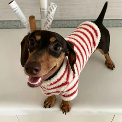 Forro polar cálido para perro salchicha, abrigo de invierno suave
