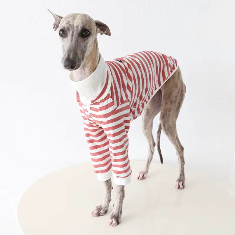 Mono a rayas para perro: Galgo y Whippet – ropa cómoda - imagen 2