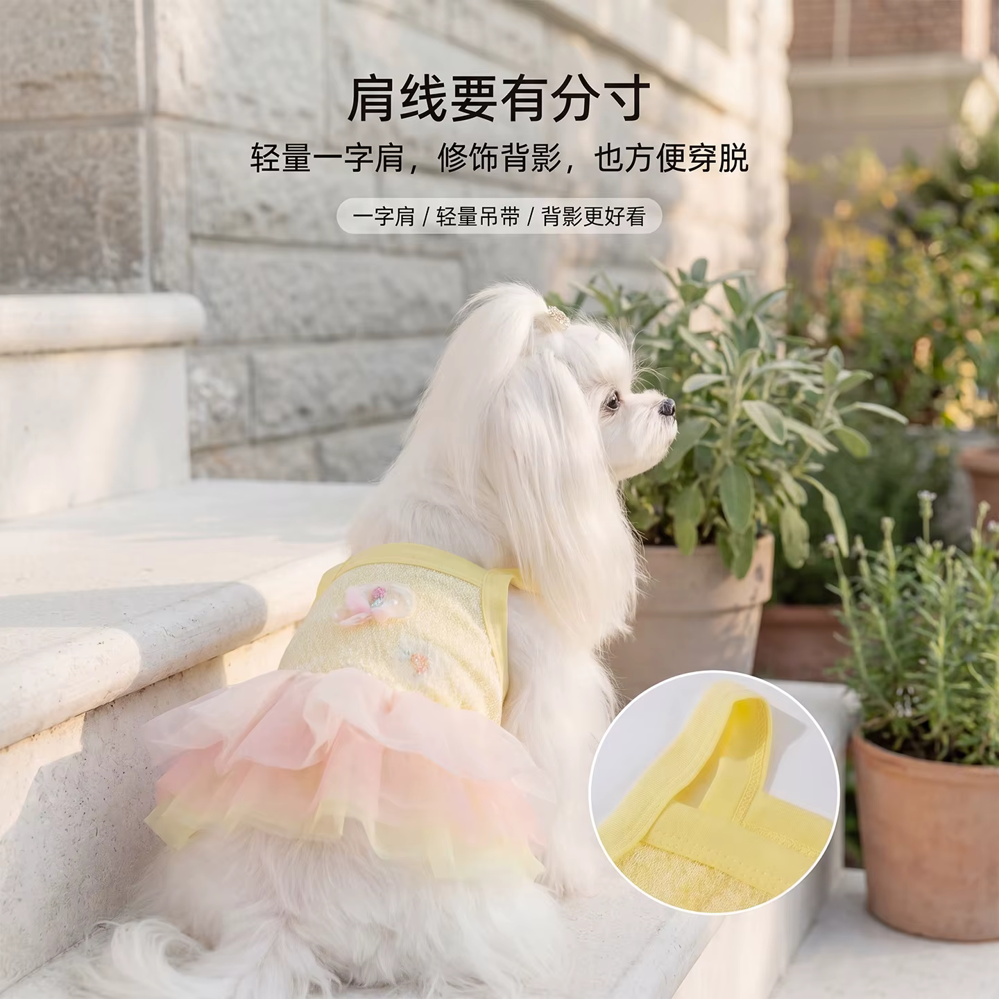 Camisola de verano elegante para perros pequeños, encaje ligero - imagen 3