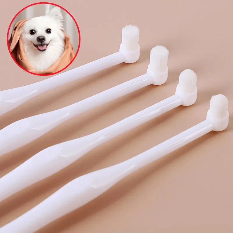 Diseño compacto para perros pequeños