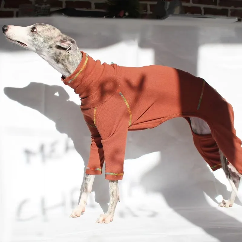 Ejemplo de ajuste en un whippet talla M