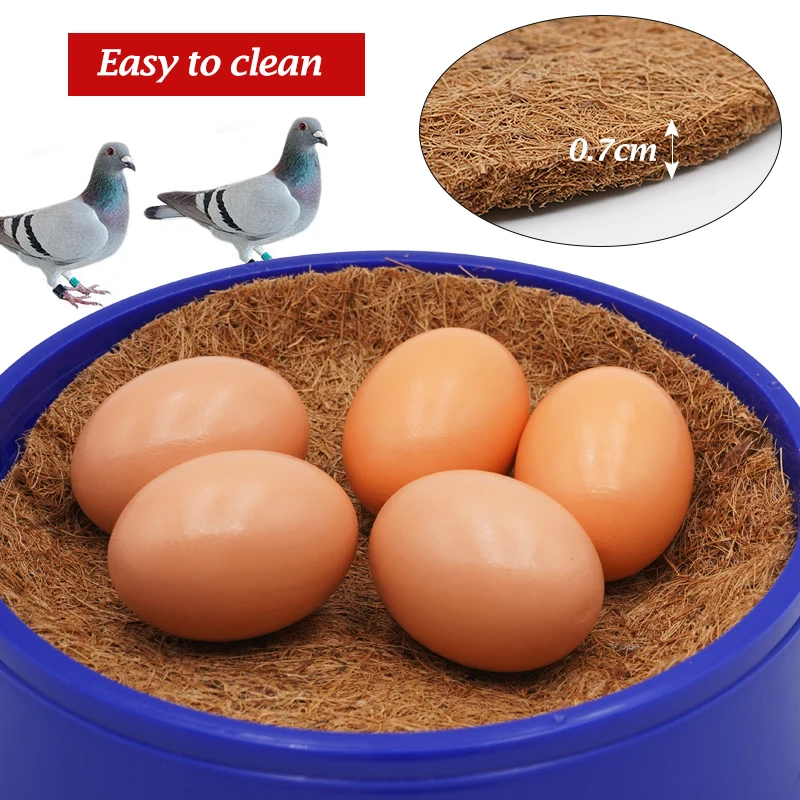 Vista frontal del nido