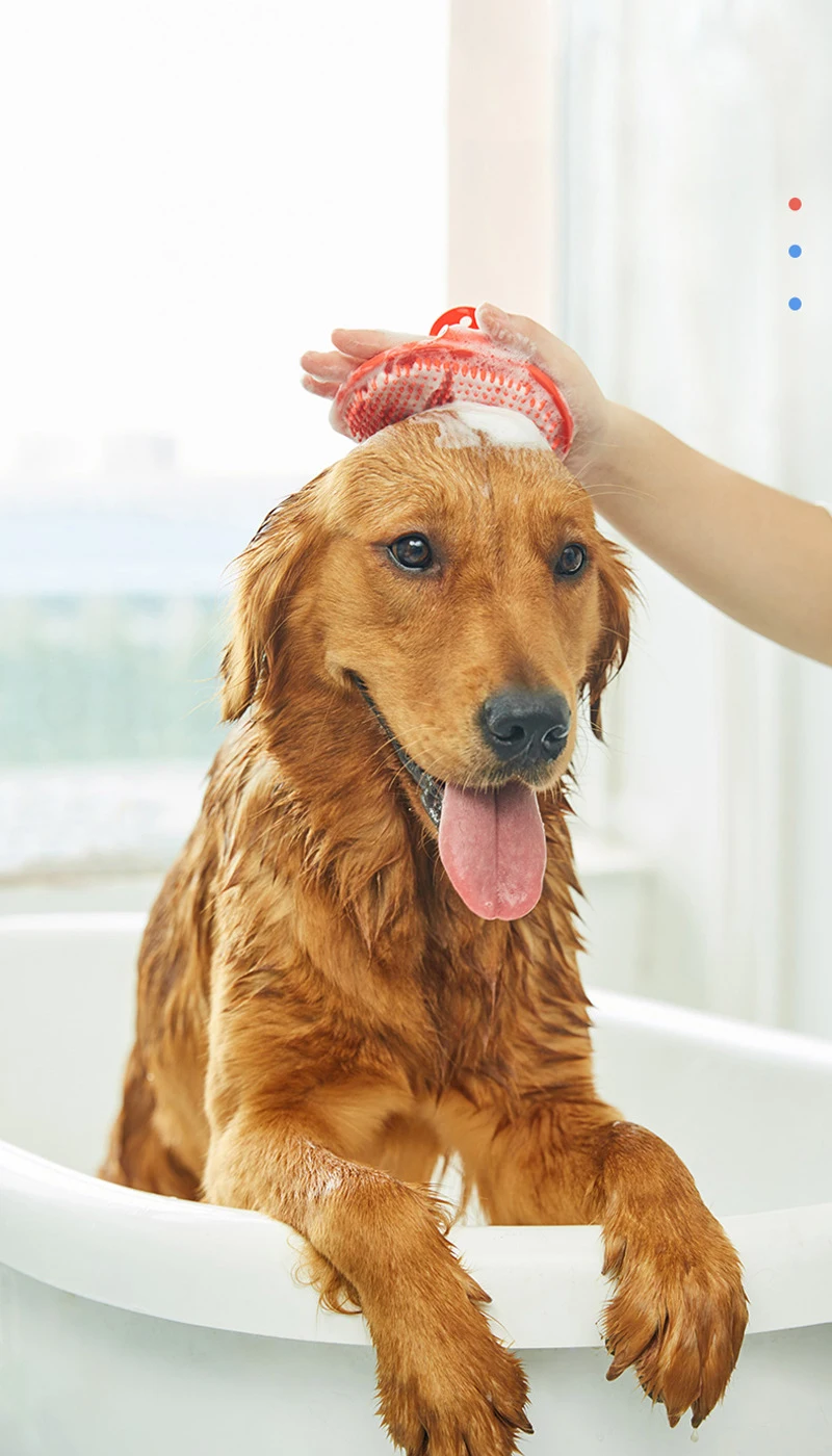 Cepillo de goma suave aplicado sobre perro