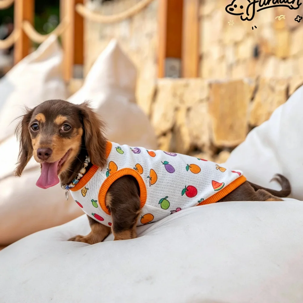 Camiseta sin mangas de verano para perros salchicha, estampado frutas - imagen 2