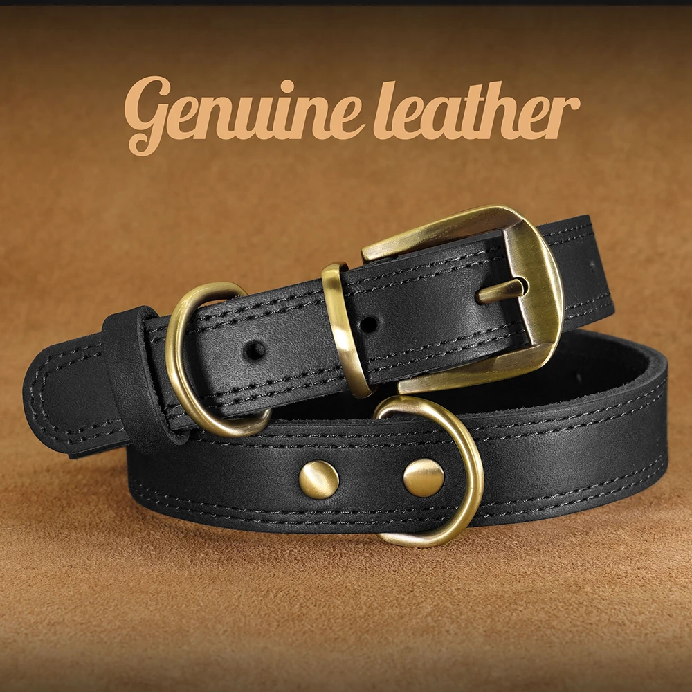 Collar de cuero para Bulldog francés