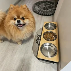 Comedero elevado inclinado para gatos y perros pequeños, con acero