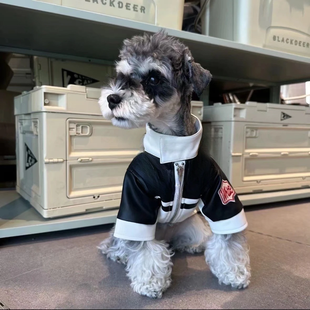 Chaqueta de cuero para mascotas en tono marrón