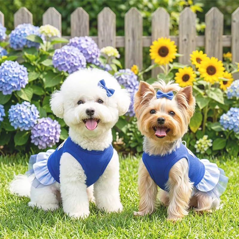 Vestido de verano con encaje para perros y gatos – Chihuahua y Yorkie - imagen 2