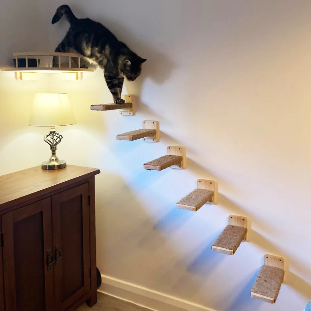 Gato usando la plataforma