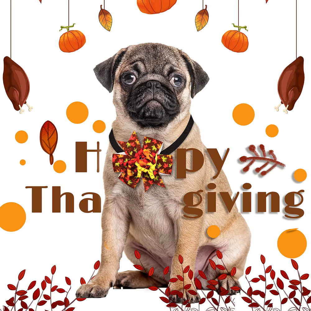 Lazos para perros pequeños de otoño color naranja, accesorios de aseo - imagen 3