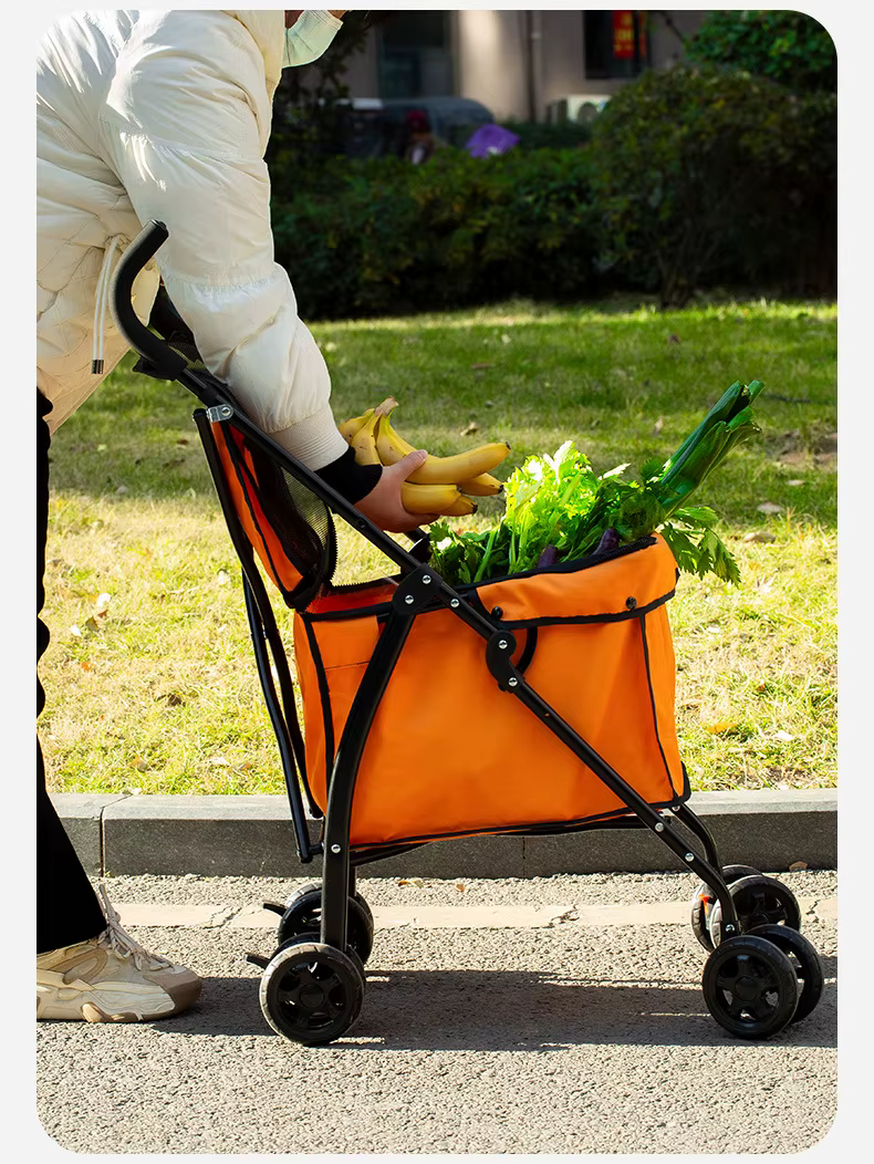 Carrito en paseo: empuje manual