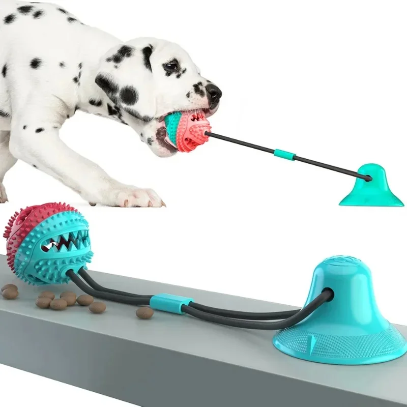 Pelota interactiva con ventosa para perros y cuidado dental