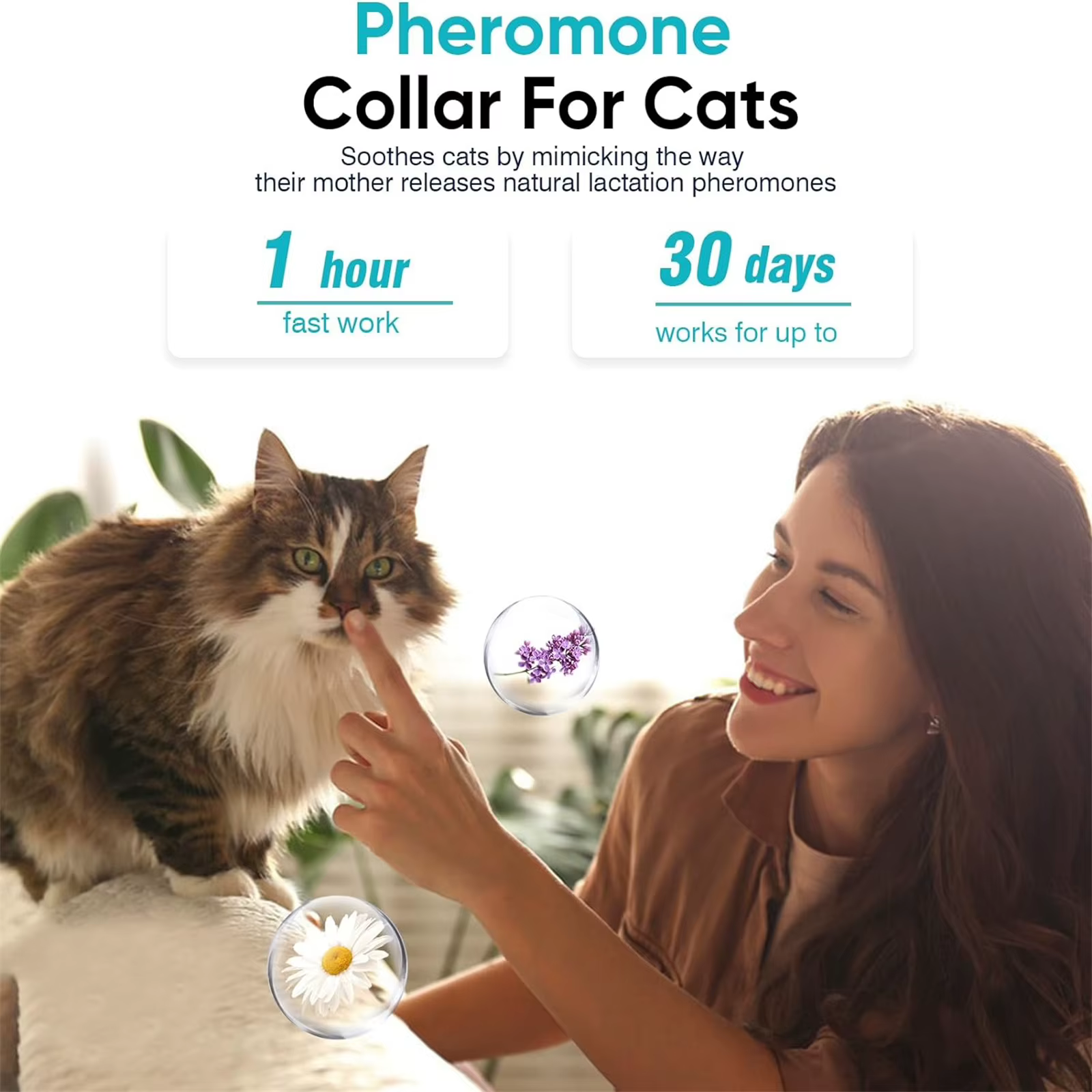 Collar confort anti-ansiedad para gatos – Elástico e impermeable - imagen 5