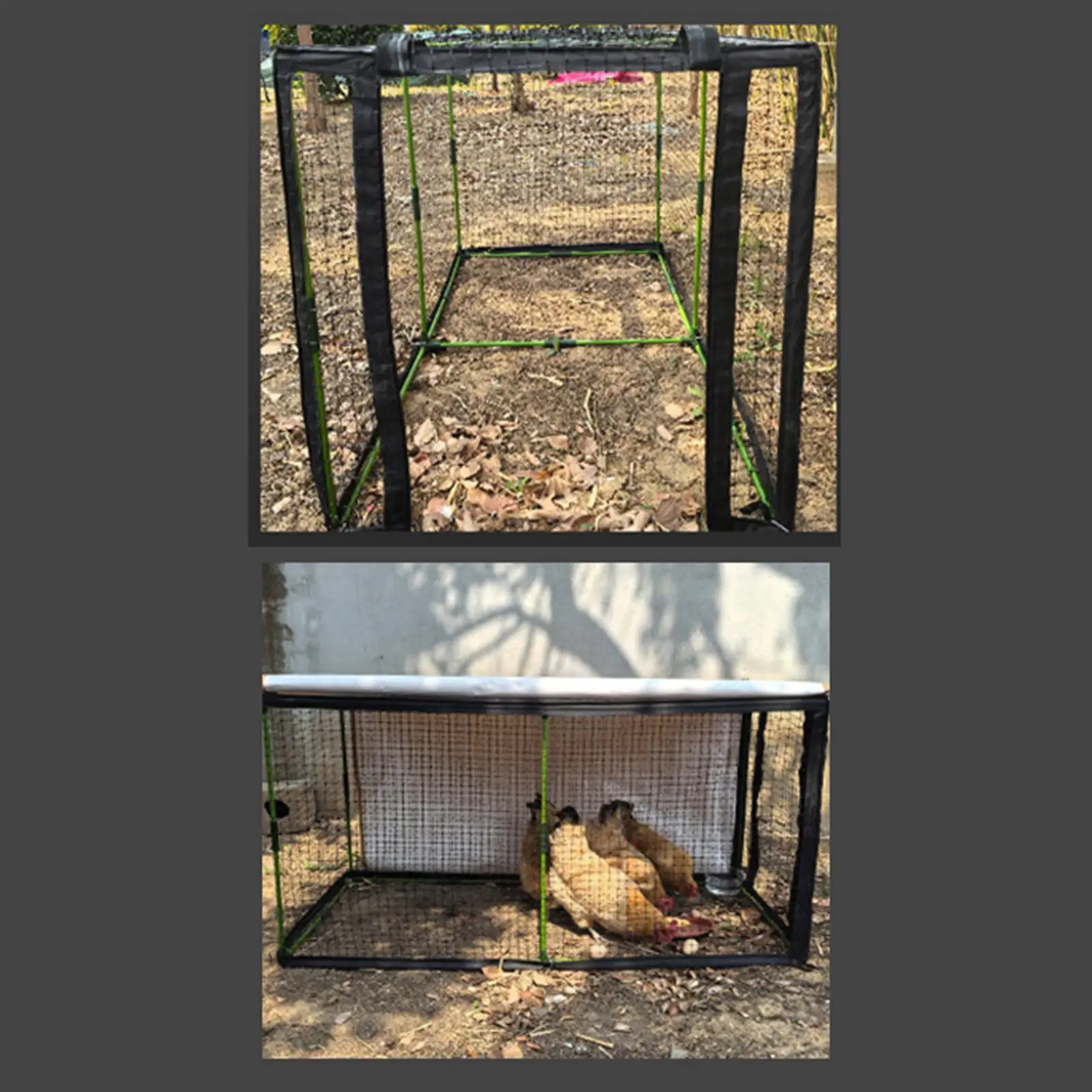 Túnel para gallinas montado en jardín