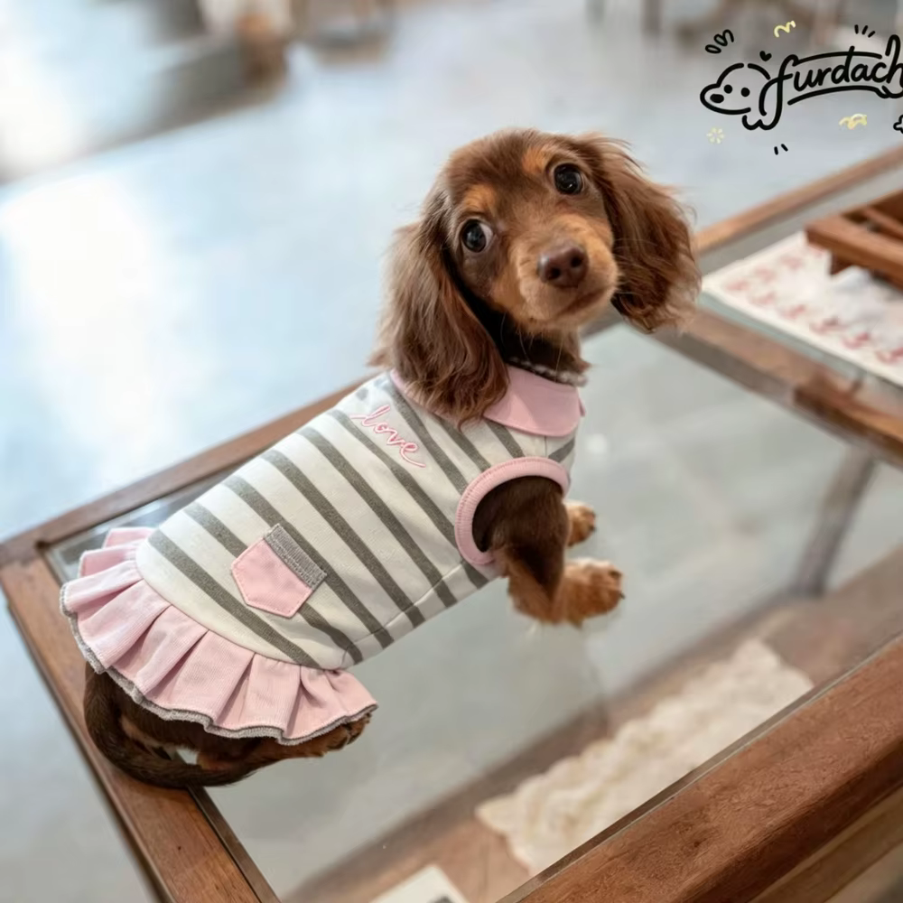Vestido verano algodón para perra tipo Dachshund salchicha rosa - imagen 4