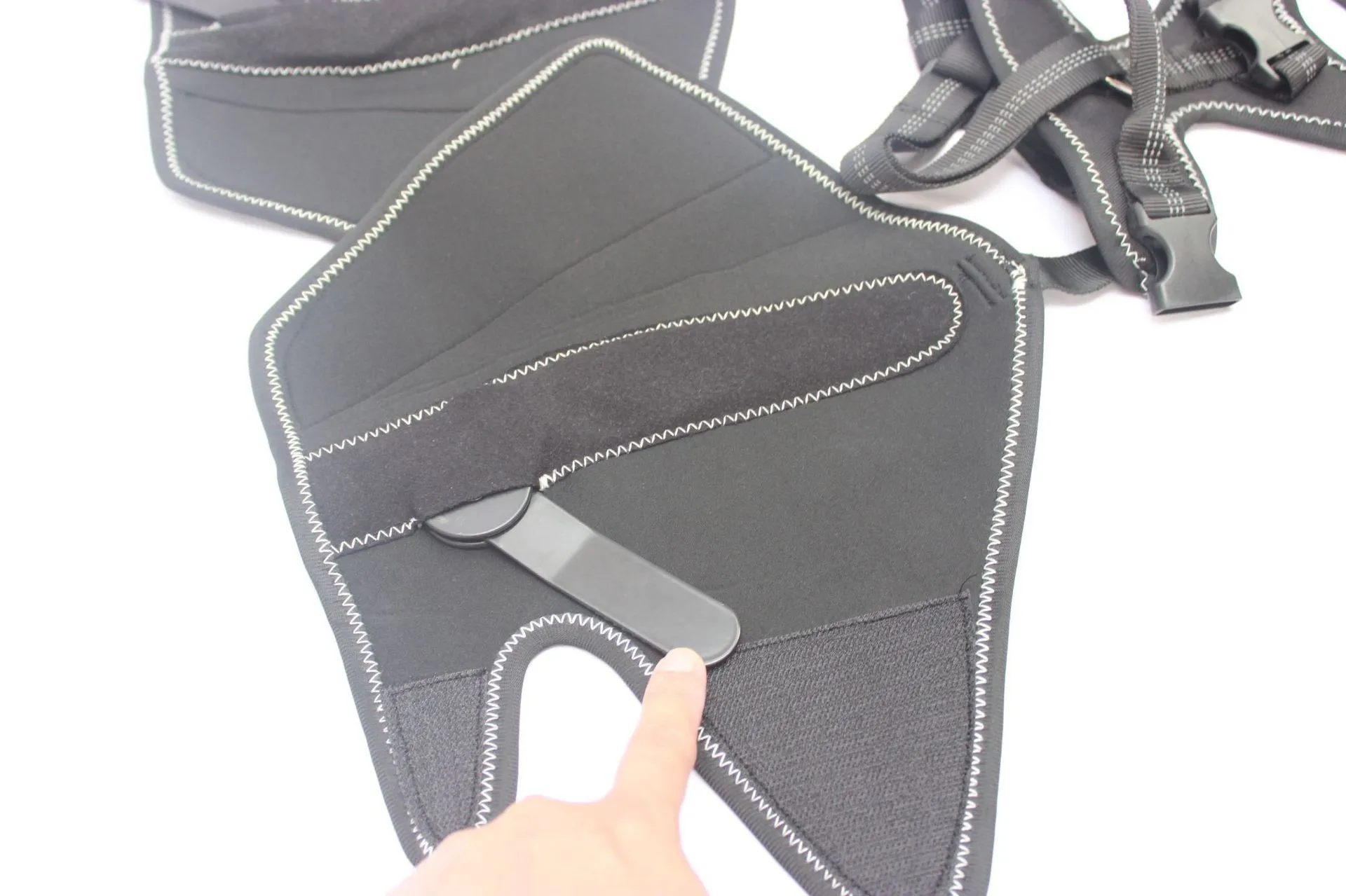 Mallas protectoras para perros en uso