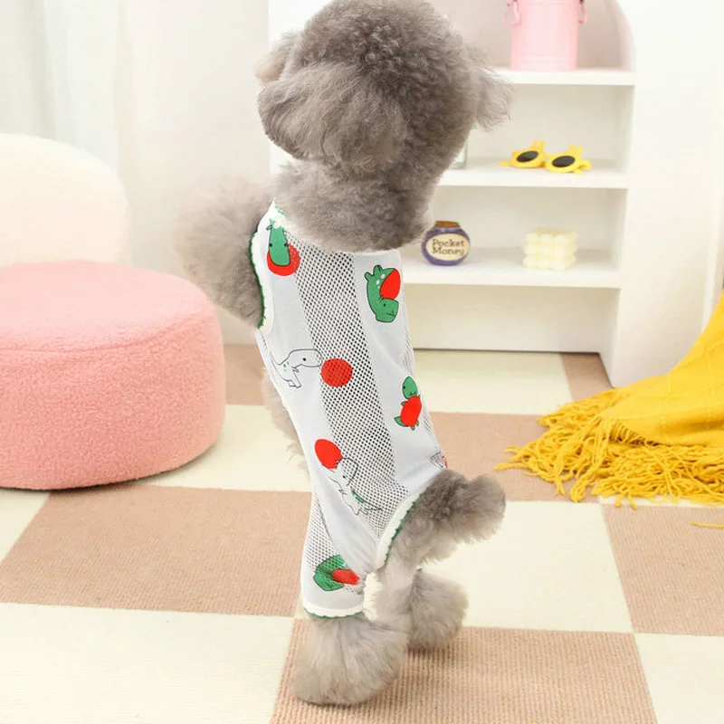 Perrito jugando