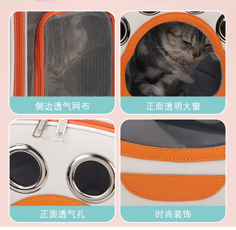 Mochila transportadora transparente en uso