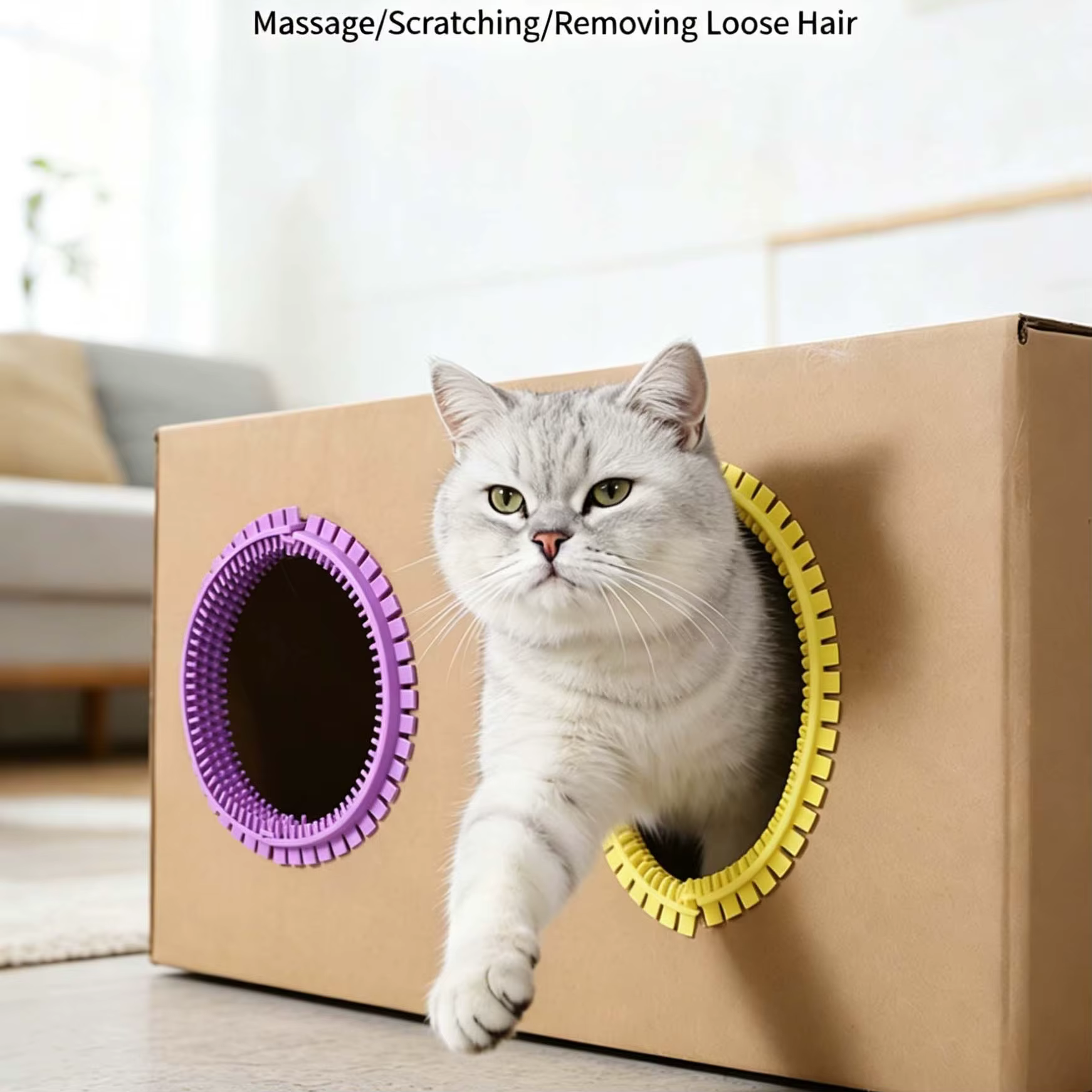 Cepillo de aseo para gatos: elimina pelo y limpia cajas de cartón - imagen 2