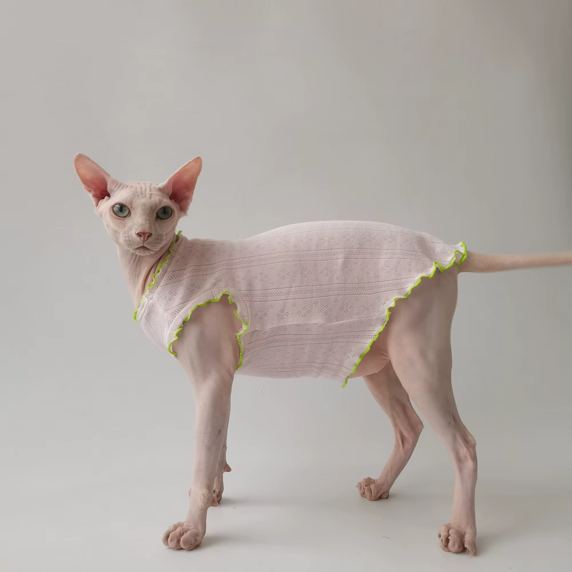 Camiseta de algodón para gatos sin pelo – Chaleco rosa con encaje para Sphynx - imagen 4