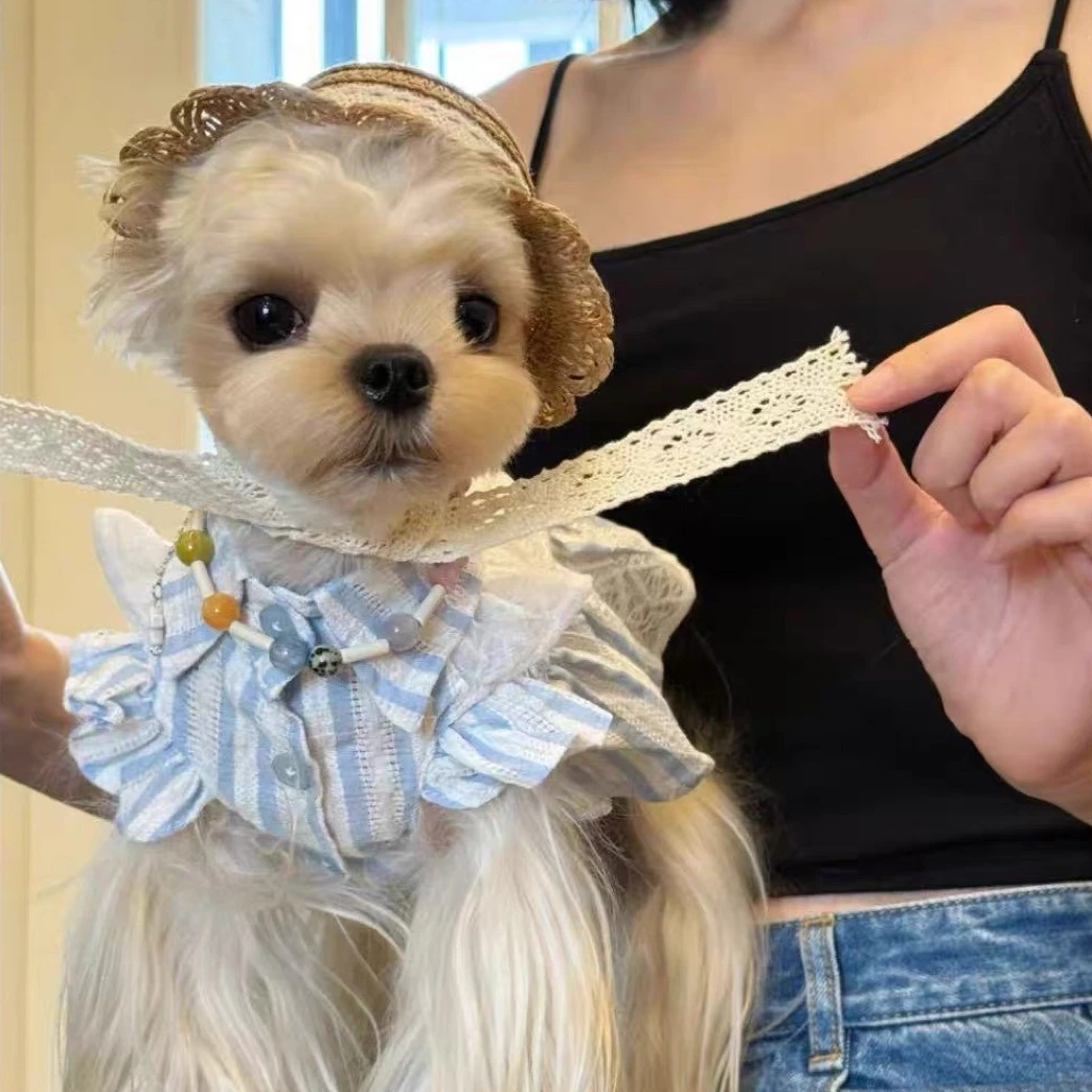 Vestido de princesa para perros mini