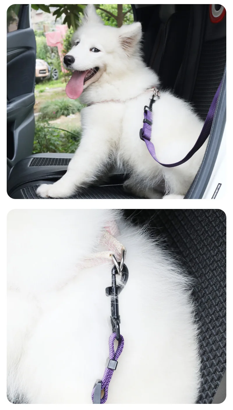 Accesorio de seguridad en coche