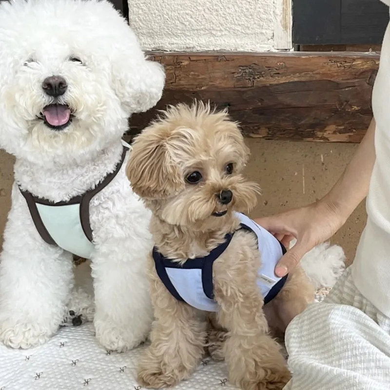 Chaleco tirantes para gatos y perros – Letras Chihuahua y Yorkshire - imagen 5