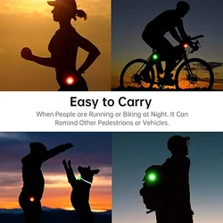 Collar LED recargable USB para perro – luz intermitente