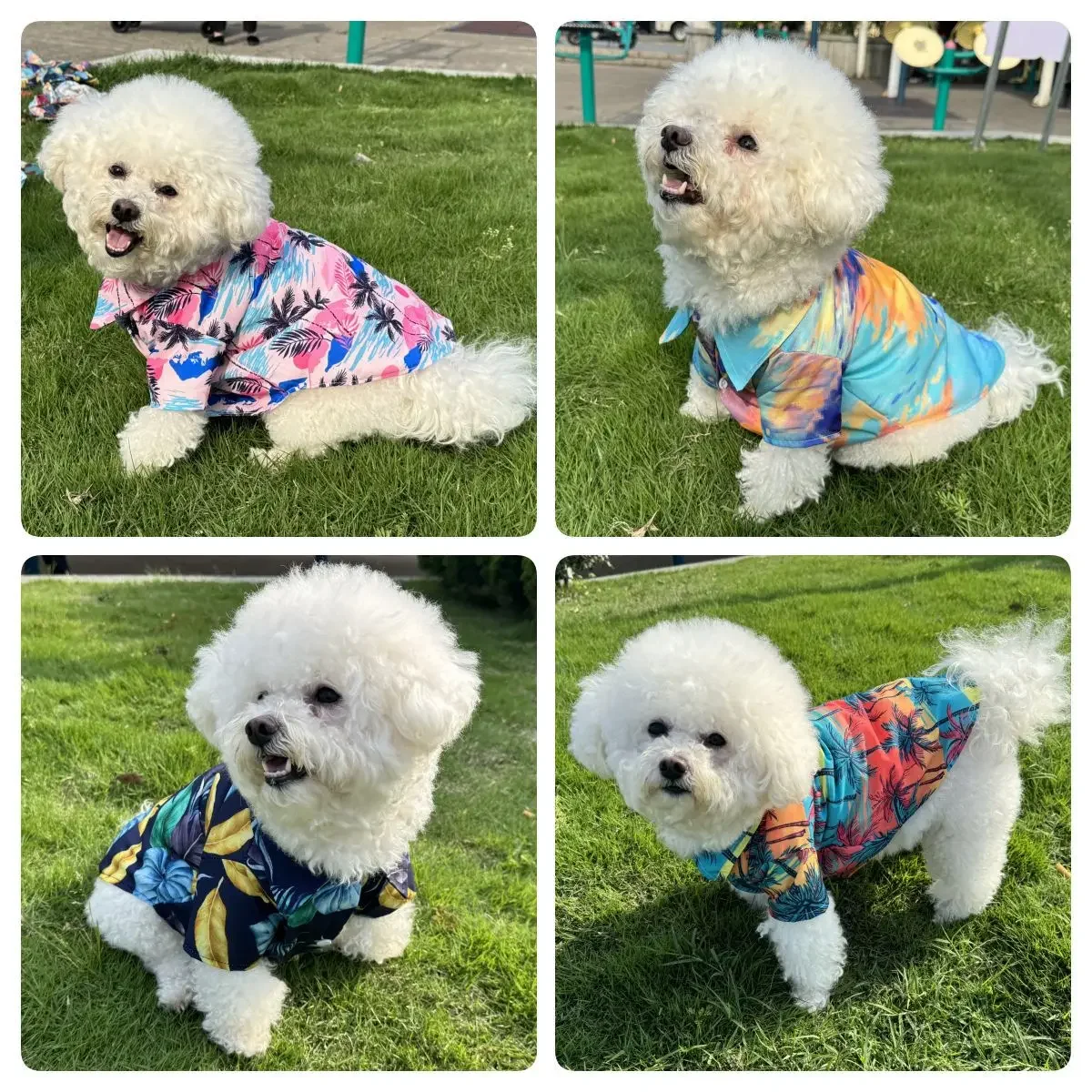 Camiseta hawaiana para gato