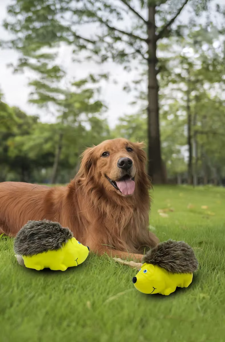 Juguete masticable para molares de perros