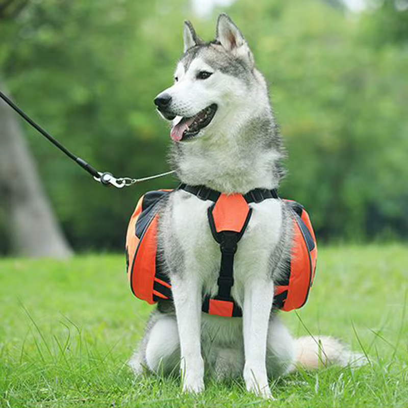 Mochila transportadora para perros grande DOGGYZSTYLE con vista completa