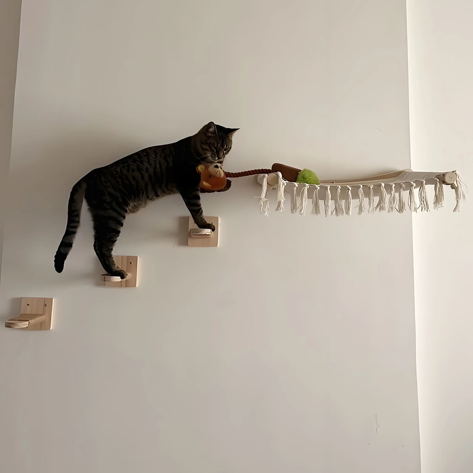 Rascador de pared para gatos: estantes y hamaca en interior - imagen 2