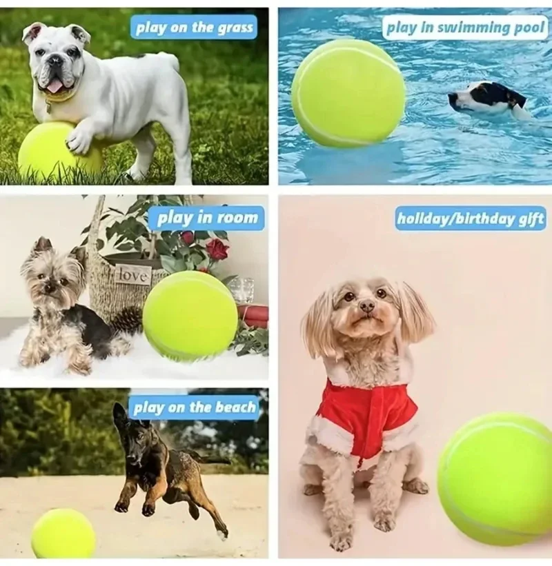 Pelota de tenis gigante inflable siendo usada por un perro en el exterior