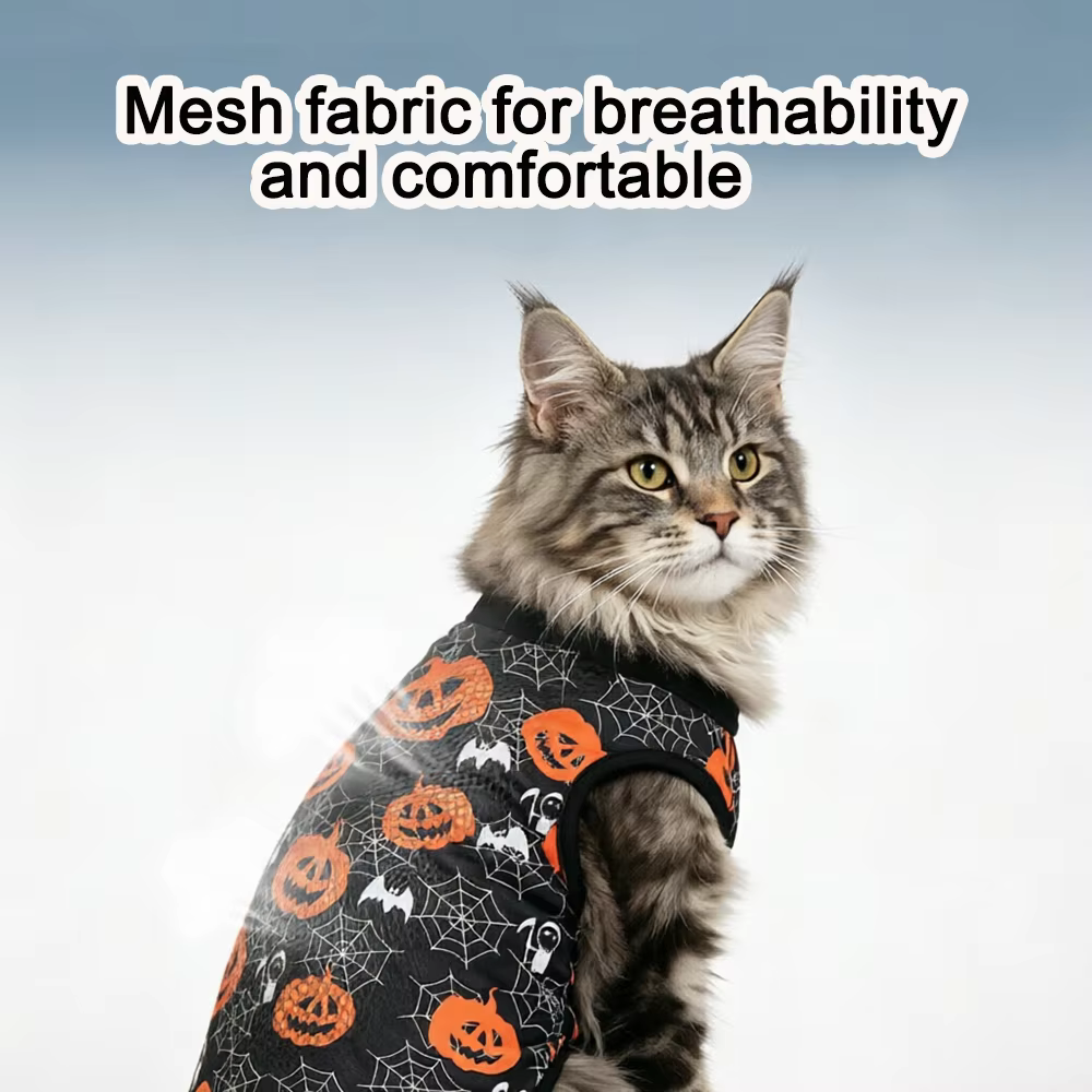 Disfraz para gatos Maine Coon y Ragdoll para fiestas y cosplay - imagen 3