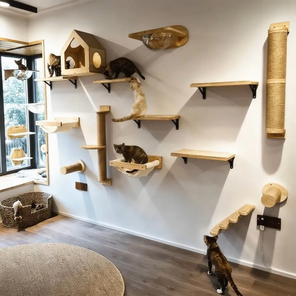 Ejemplo de instalación de estantes de pared para gatos