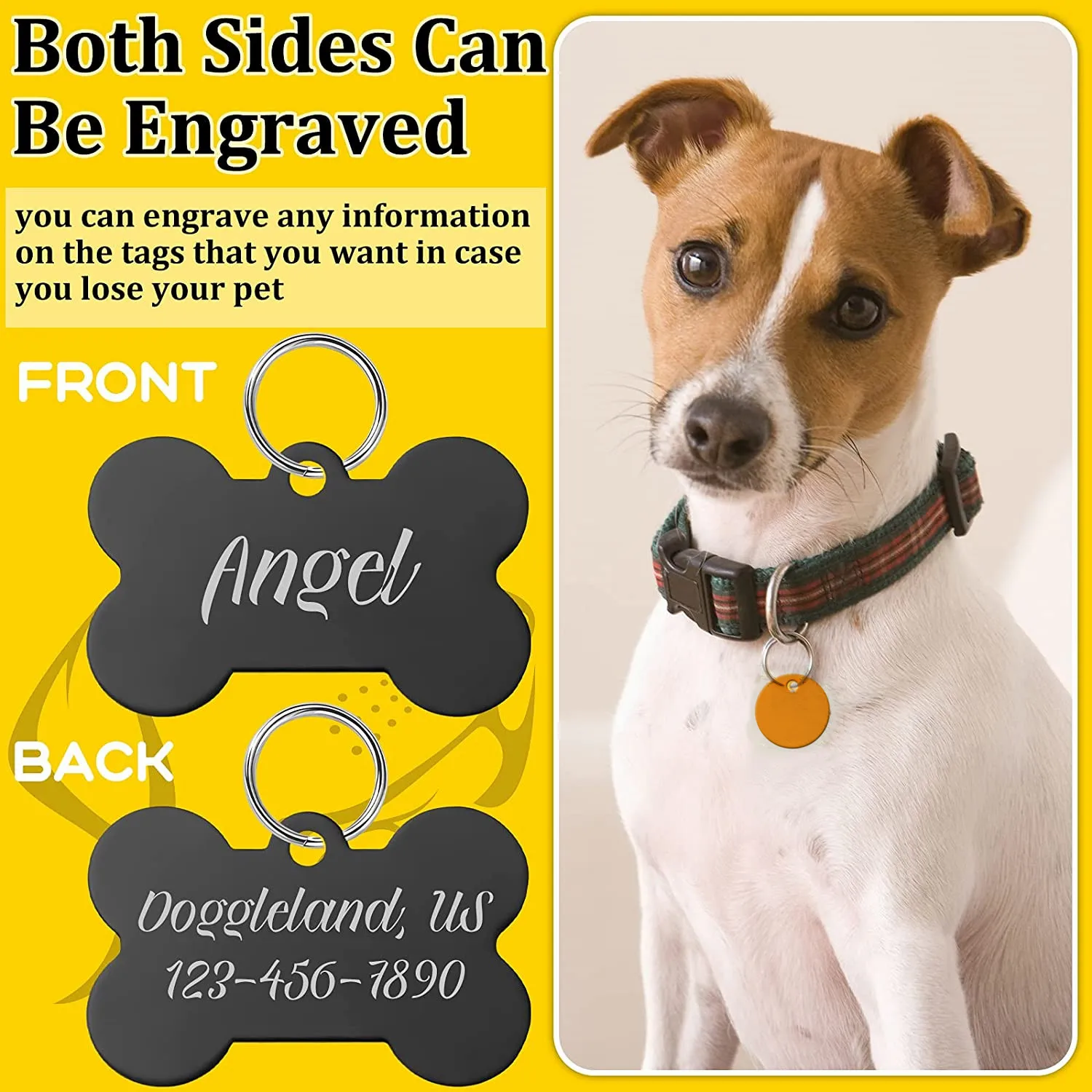 Etiquetas colgantes para collar de perro