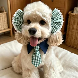 Protector orejas para perros – Babero anti-suciedad al comer